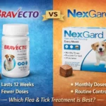bravecto or nexgard