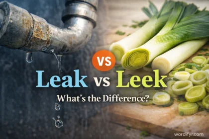 leak or leek