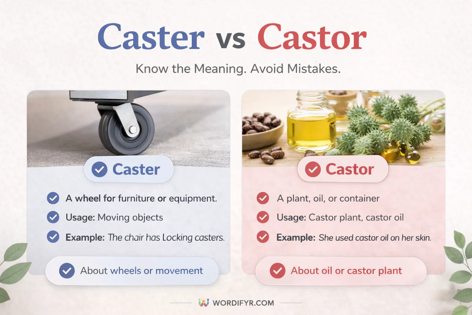 CASTER OR CASTOR